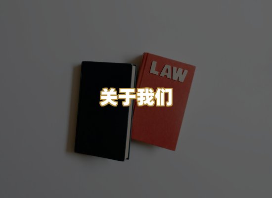 关于我们